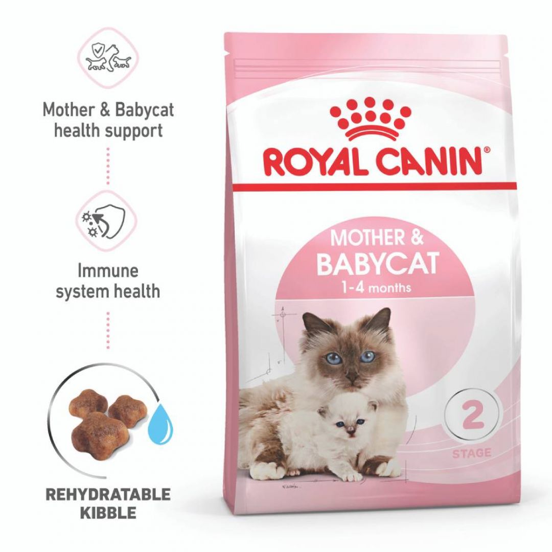 mother-babycat-15-kg