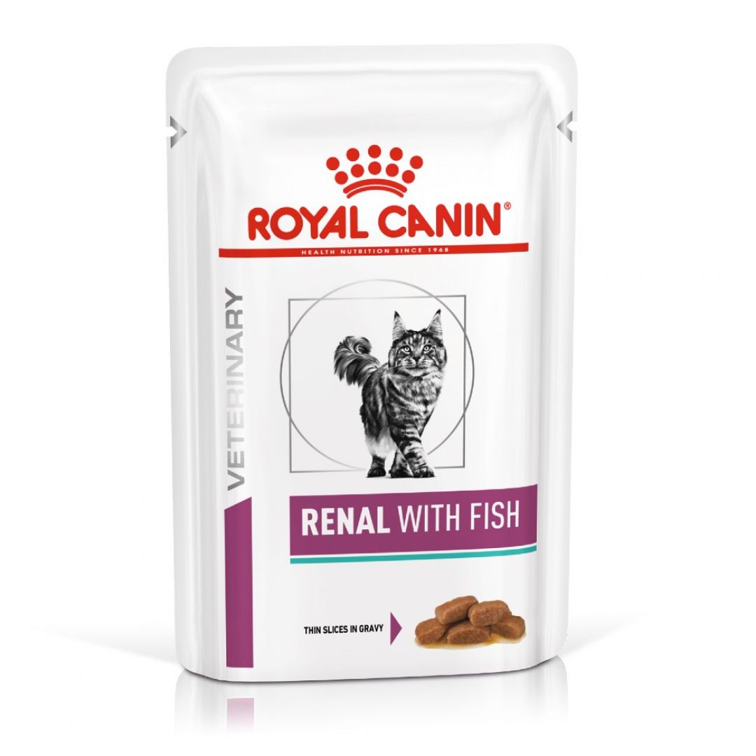 renal-gato-pouch-85-gr