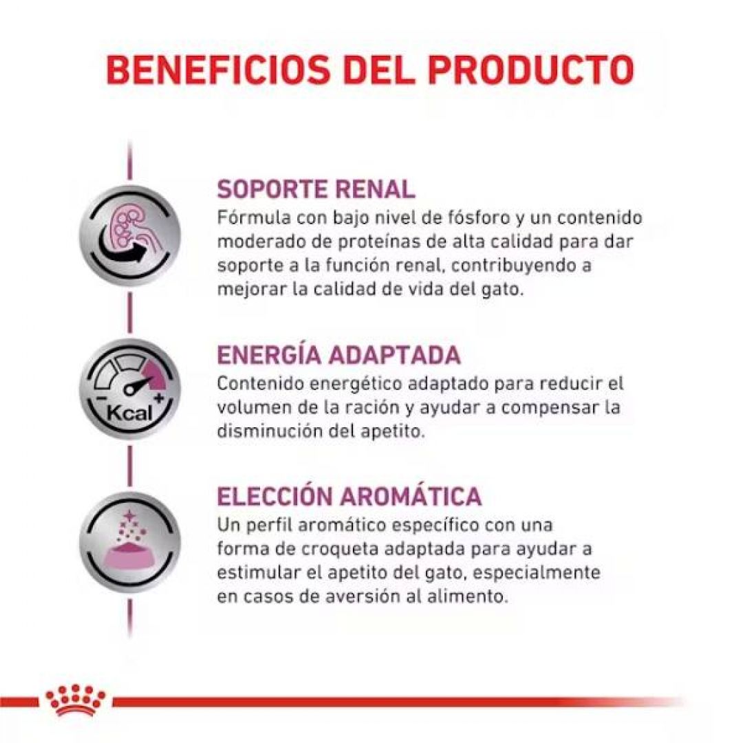 renal-gato-pouch-85-gr
