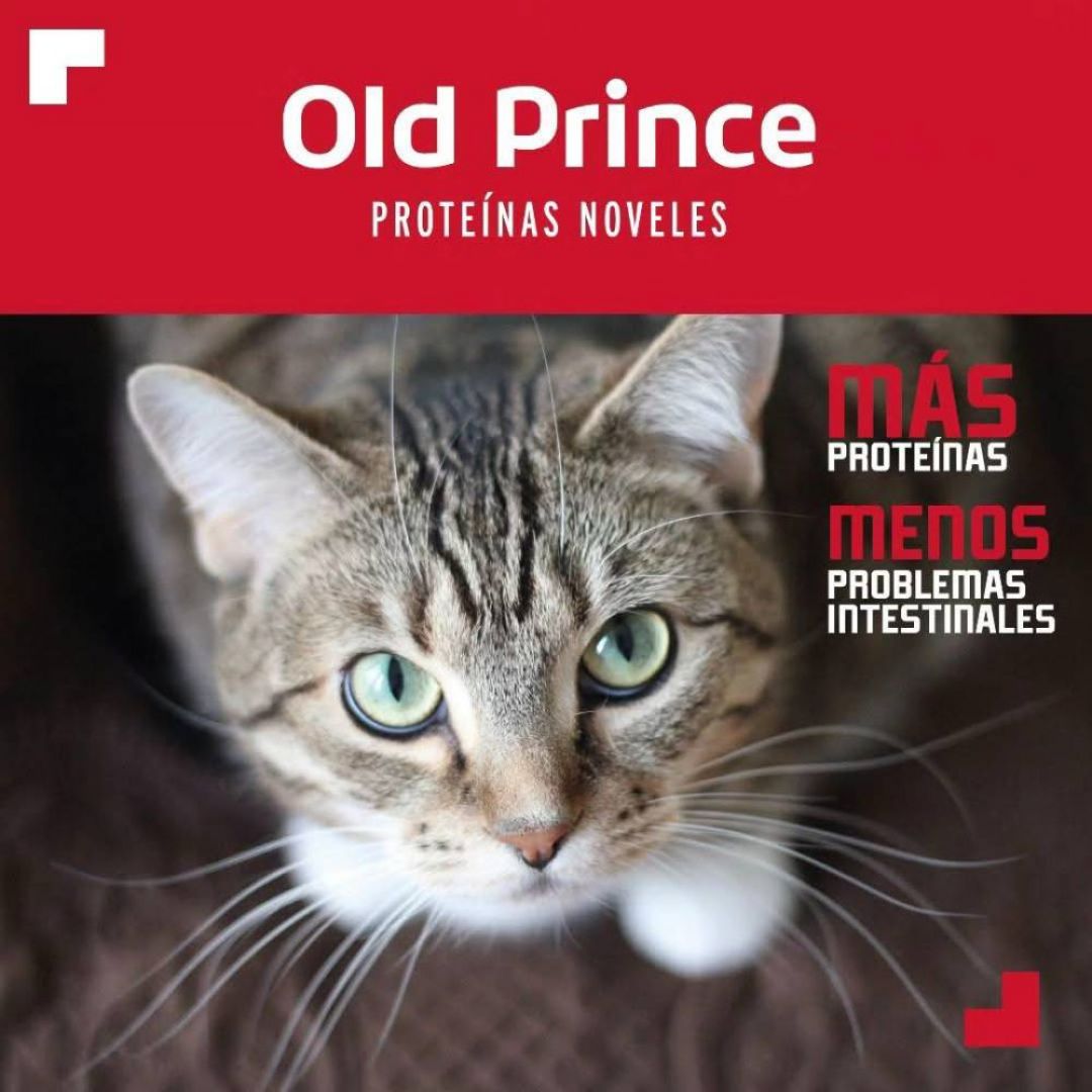 old-prince-novel-gato-ad-c-y-a-3-kg