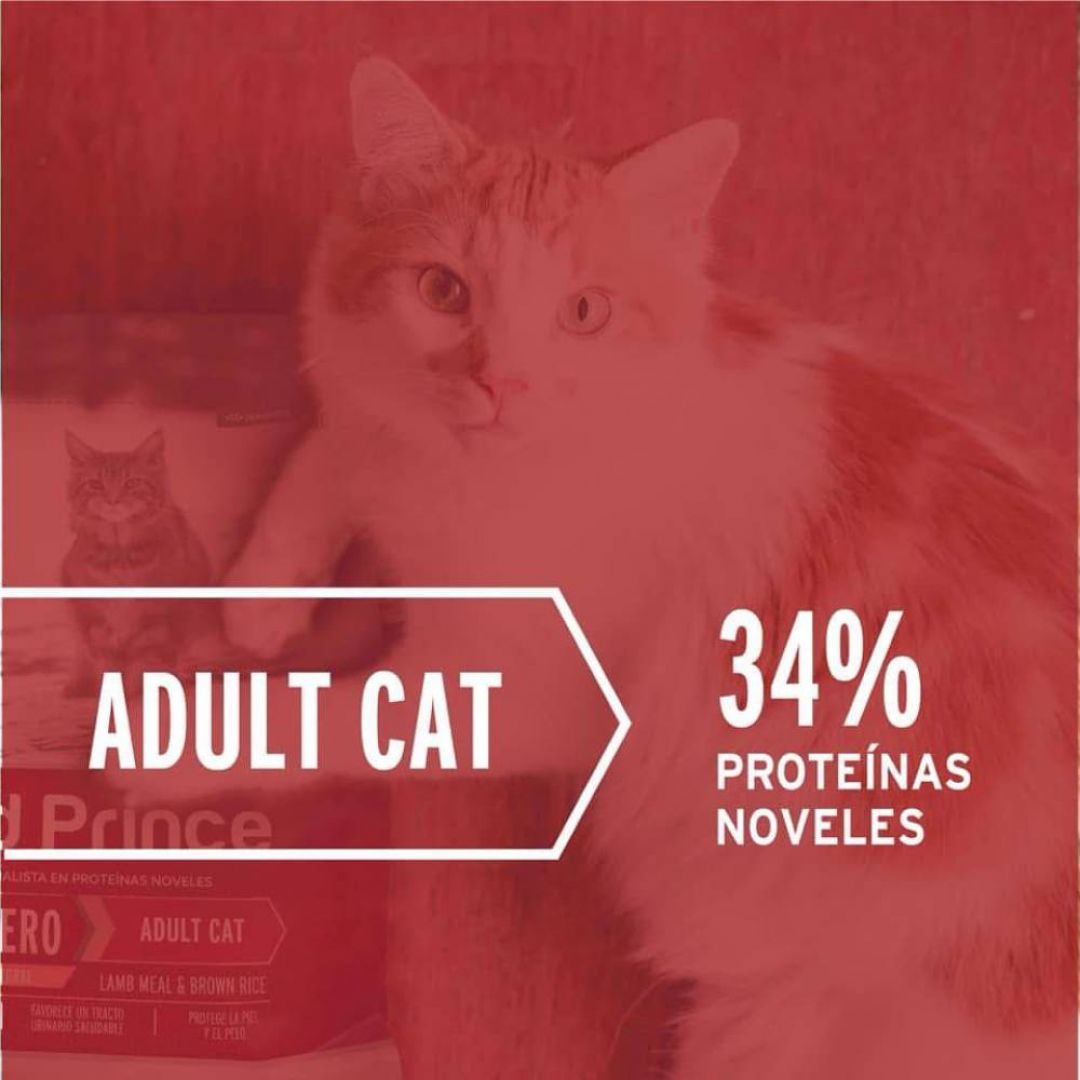 old-prince-novel-gato-ad-c-y-a-3-kg