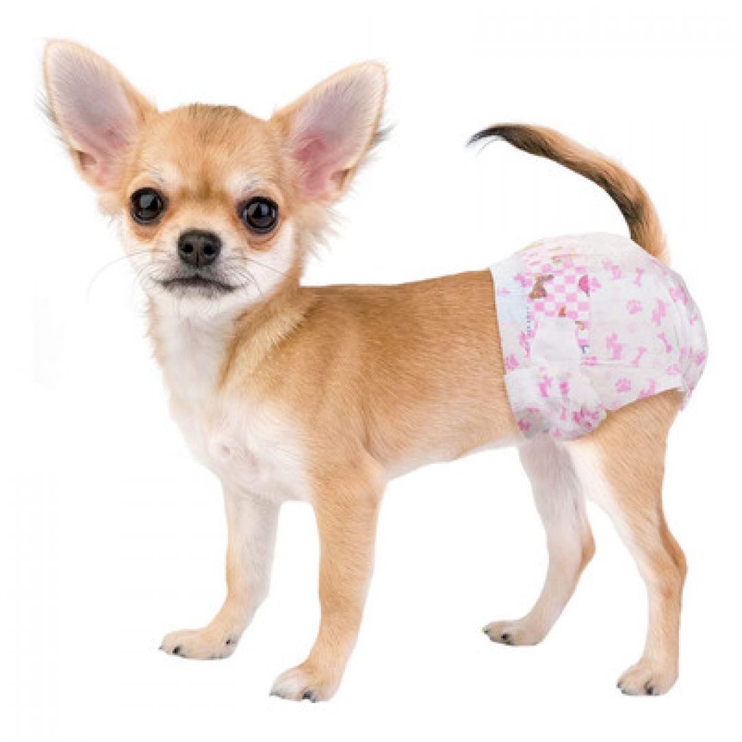 bombachita-sanitaria-sublimada-t-l