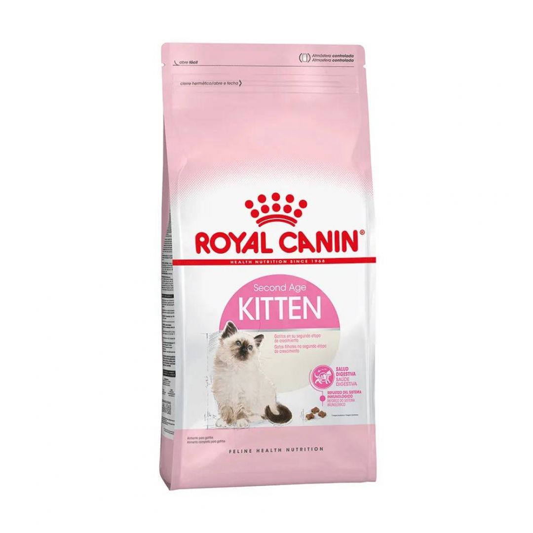 kitten-36-15-kg