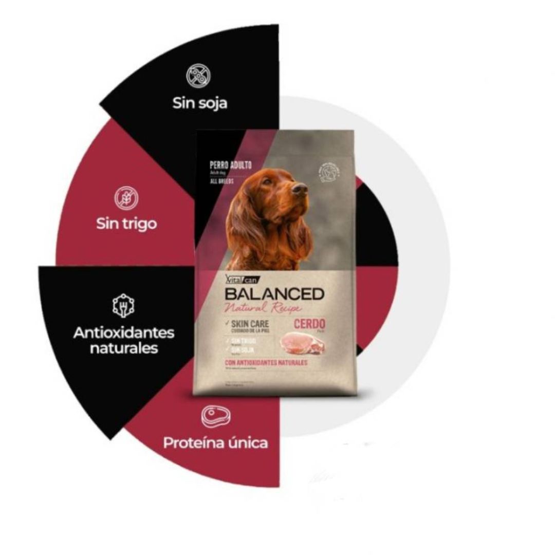 vital-can-ad-recipe-cerdo-15-kg