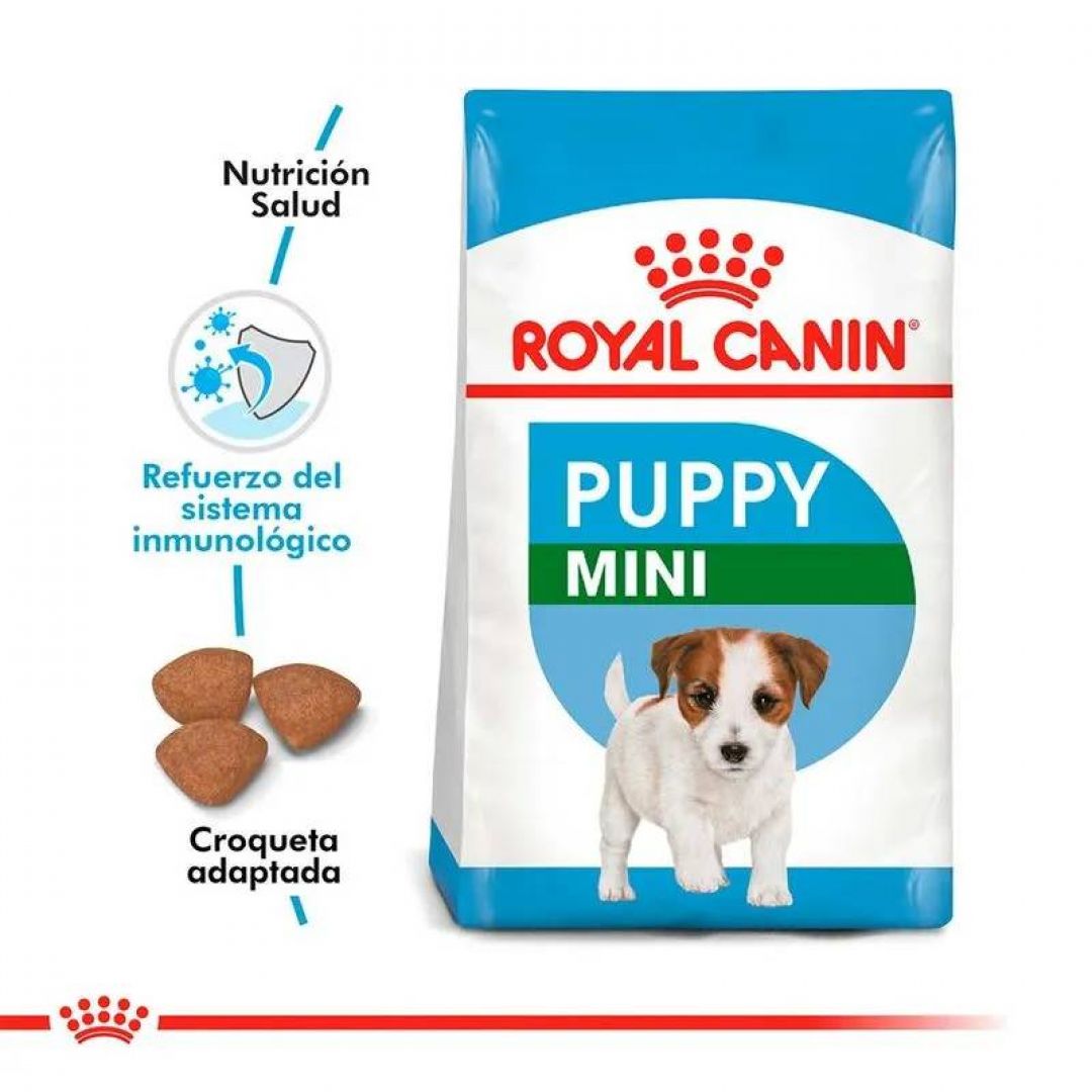 mini-puppy-15-kg