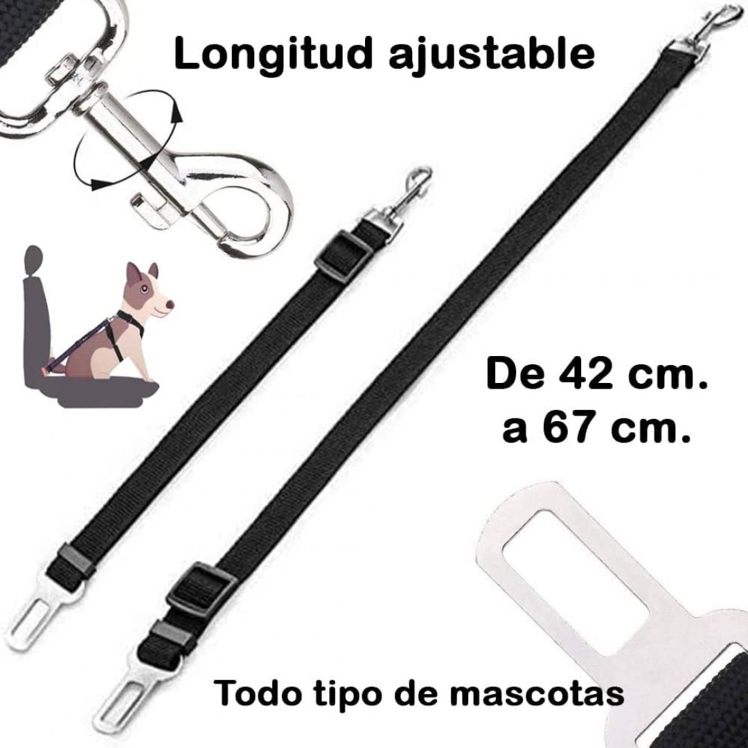 cinturon-de-seguridad-pet-home