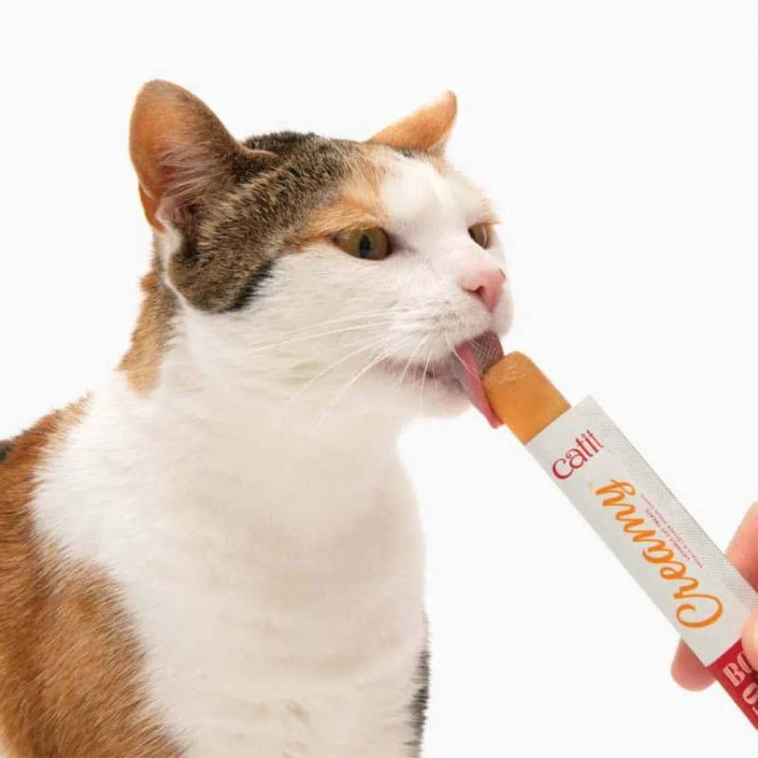 catit-creamy-salmon-10-gr-x-unidad