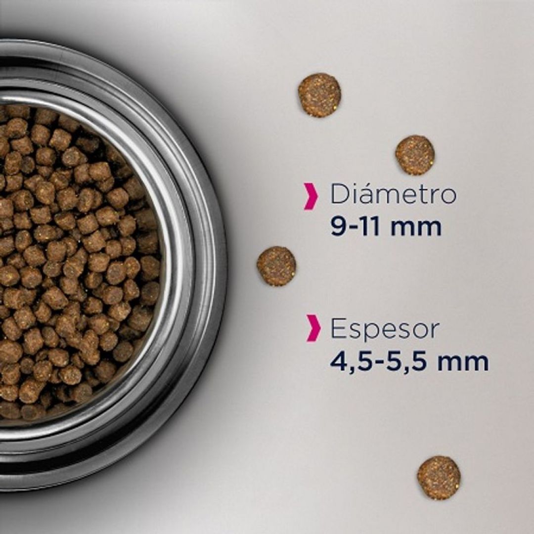 ff-eukanuba-gato-ad-x-1-kg