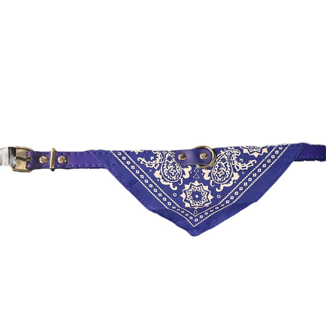 collar-gato-cpanuelo-23200