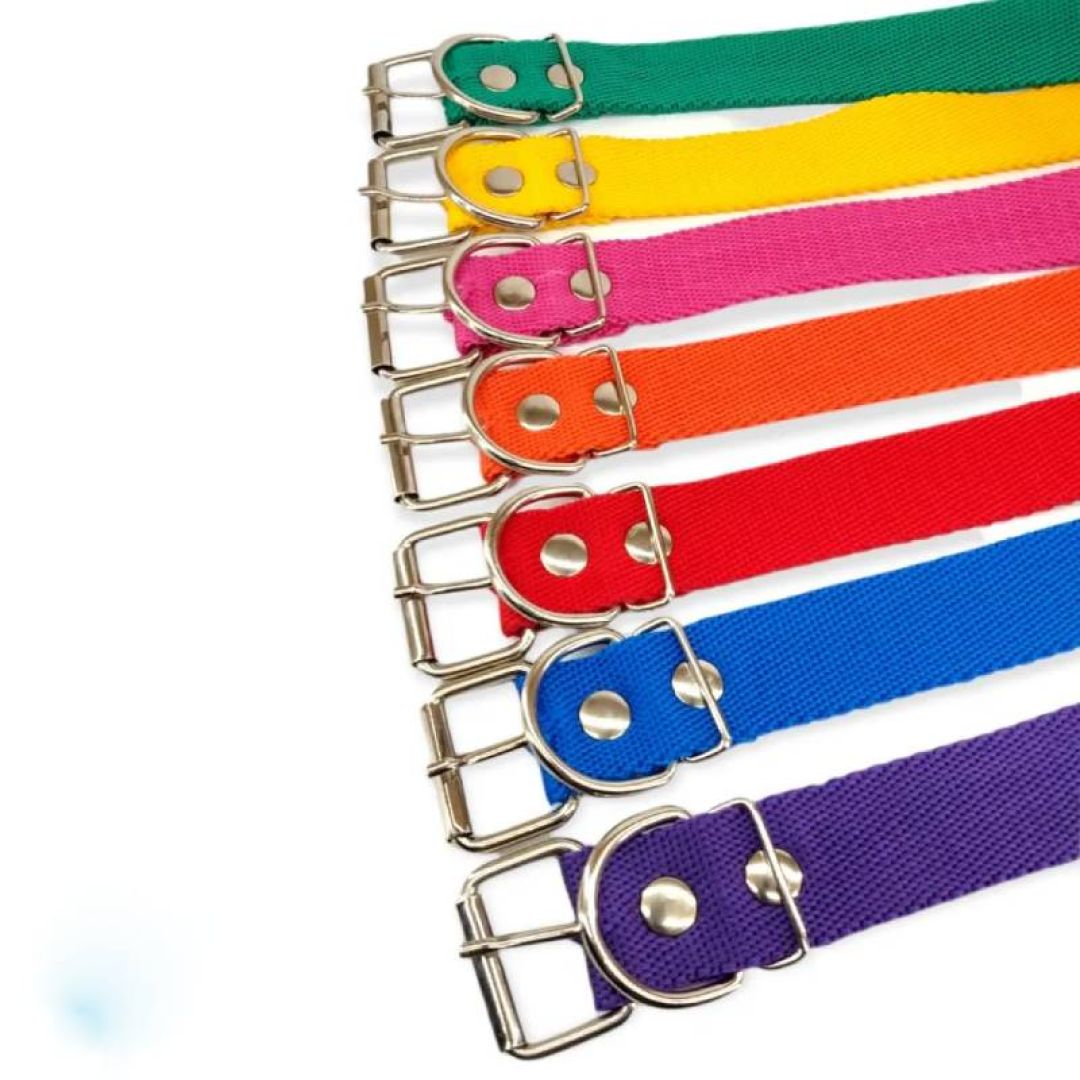 collar-liso-aym-3x70-23221