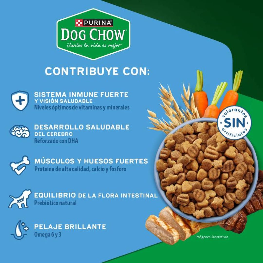 dog-chow-cachorro-mg-gran-comienzo-15-kg