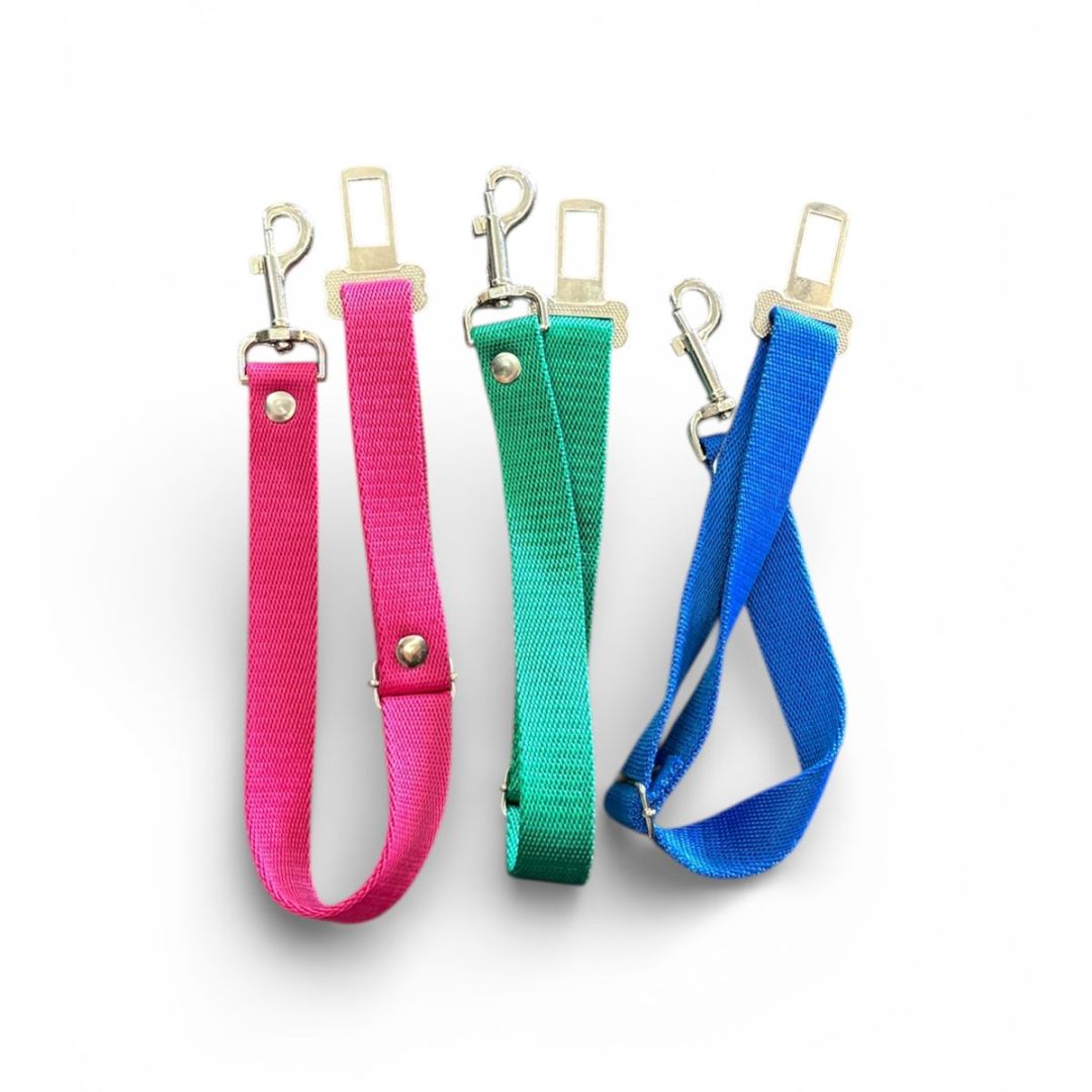 cinturon-seguridad-supercancheros-23438