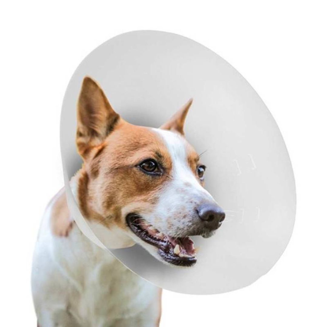 collar-isabelino-n4-23505