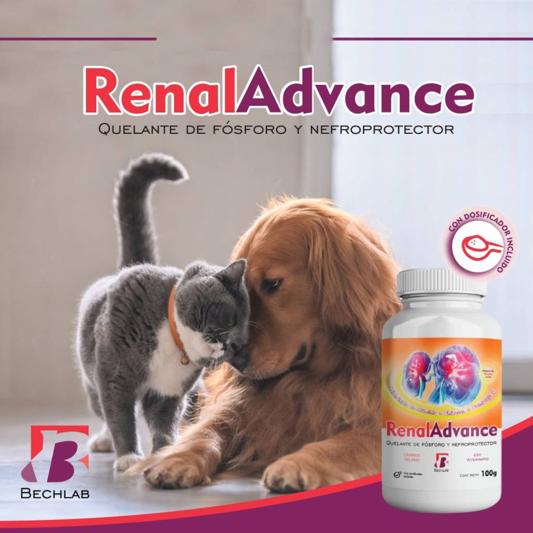 renal-advance-100-grs