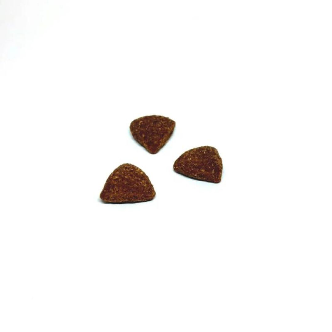 ff-pro-plan-ad-rp-x-1-kg-23547