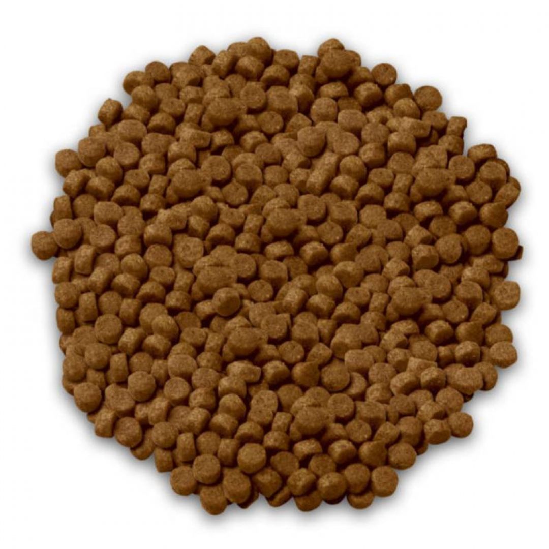 ff-nutricare-ad-mp-x-1-kg