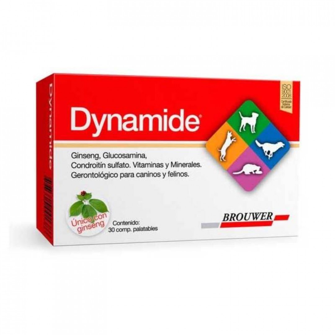 dynamide-x-blister