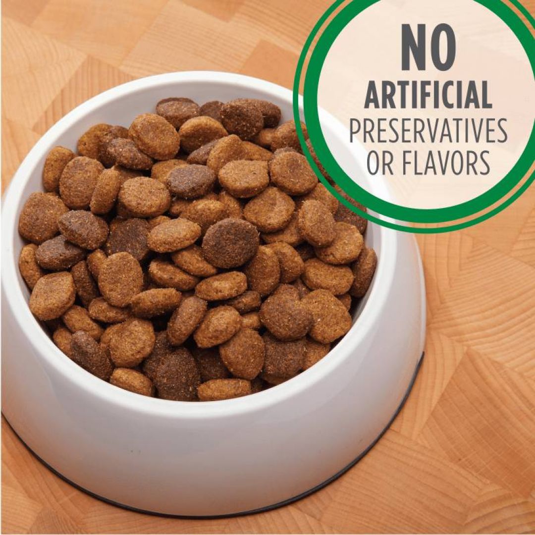iams-ad-lb-15-kg