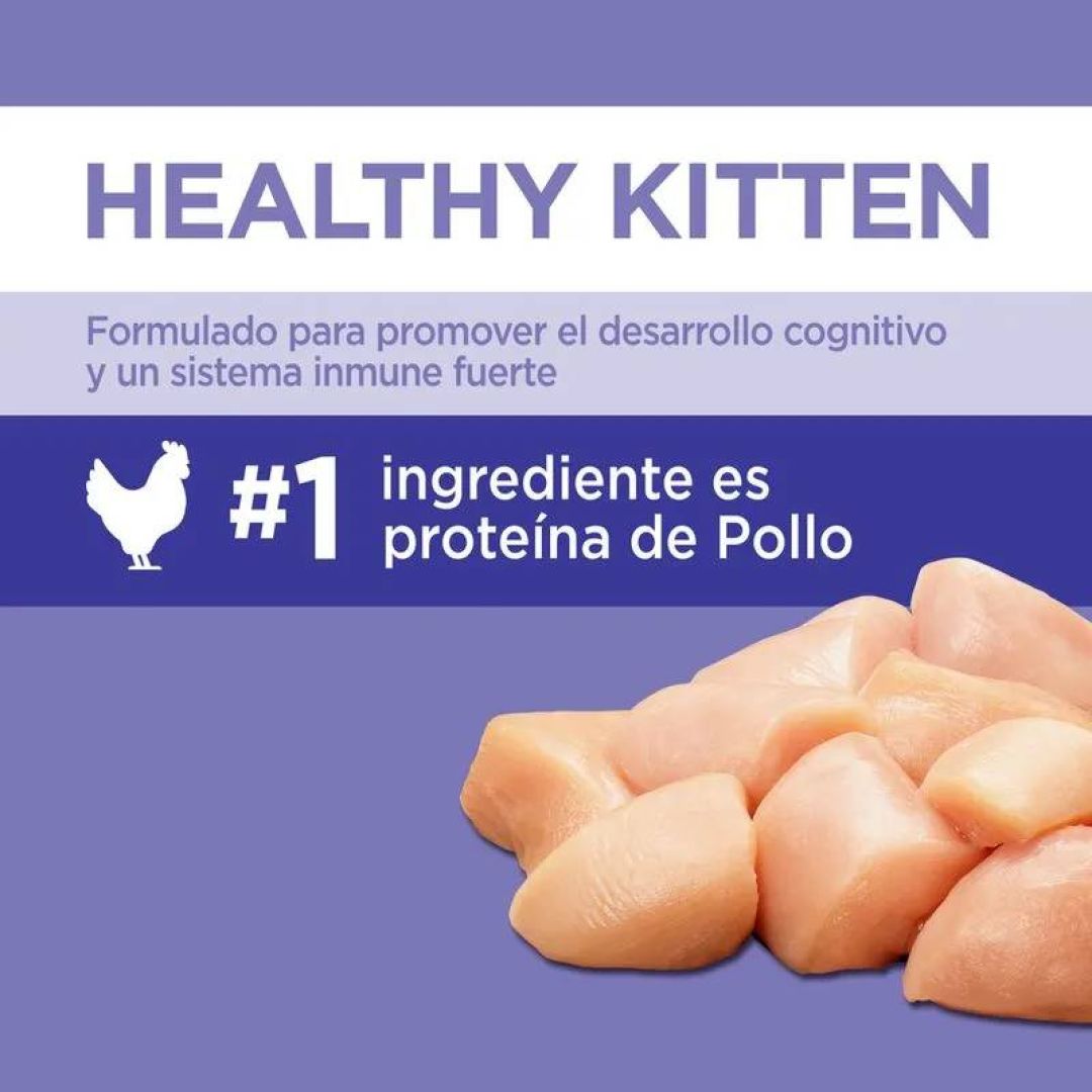 iams-kitten-3-kg