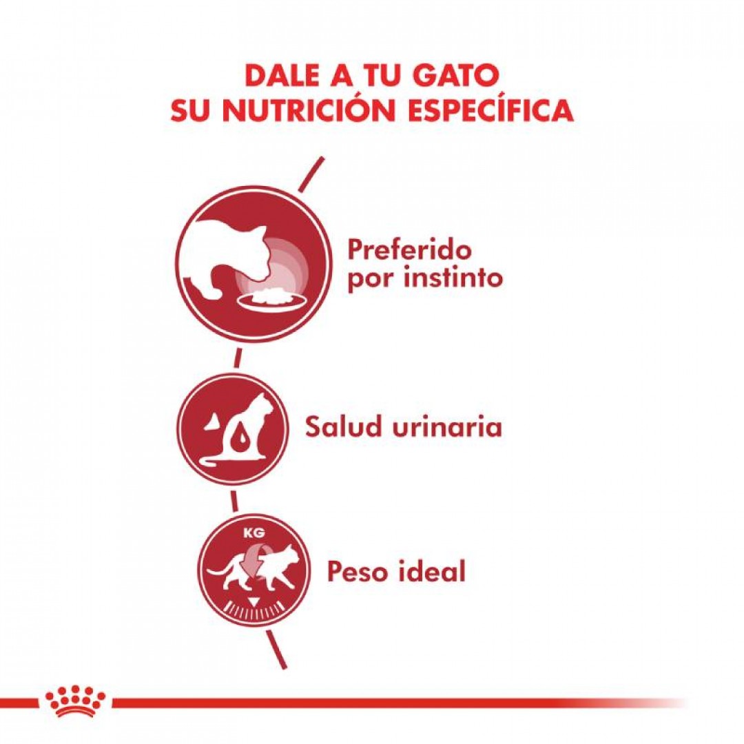 instinctive-pouch-cat-85-gr