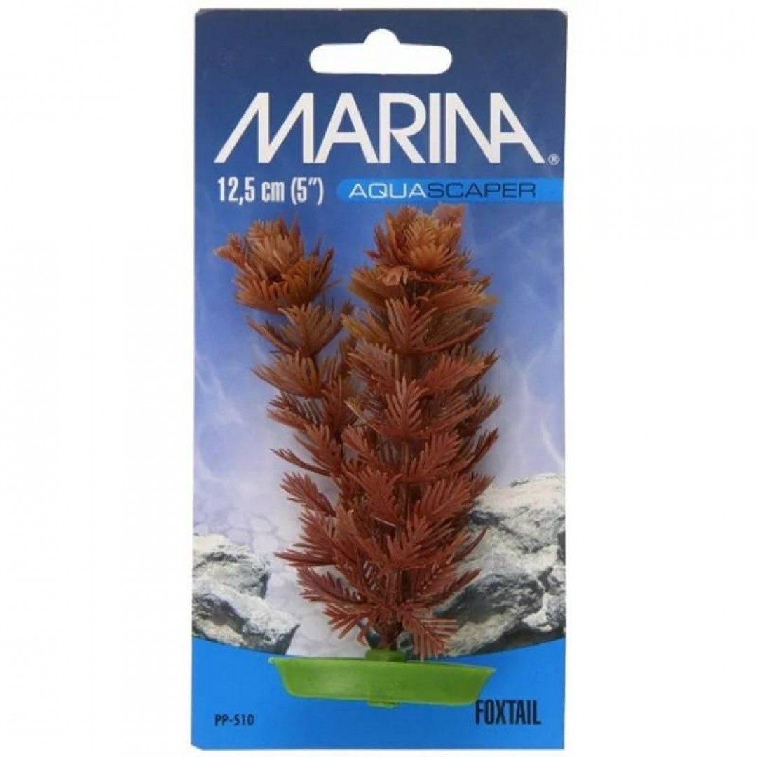 marina-aquascaper-foxtail