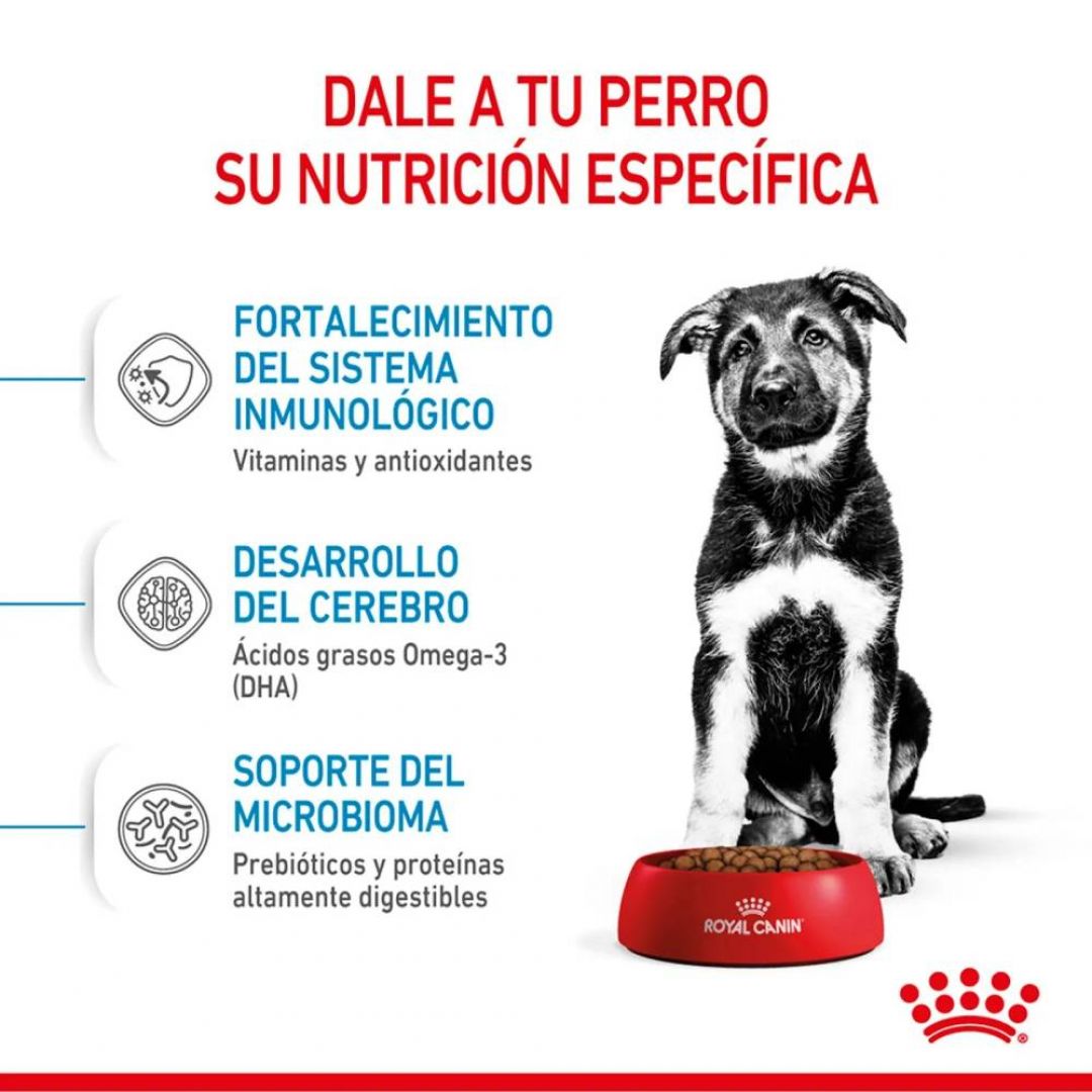 maxi-puppy-3-kg