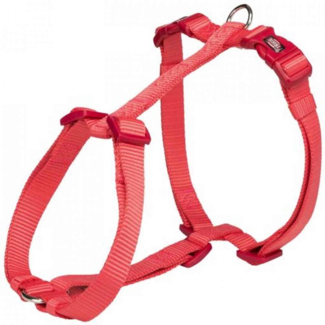 arnes-premium-s-m-rojo