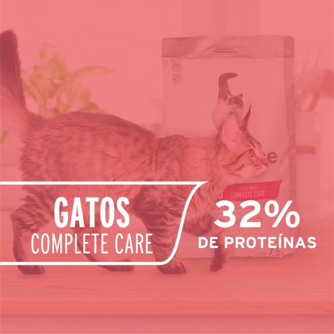 old-prince-equil-gato-ad-compcare-75-kg