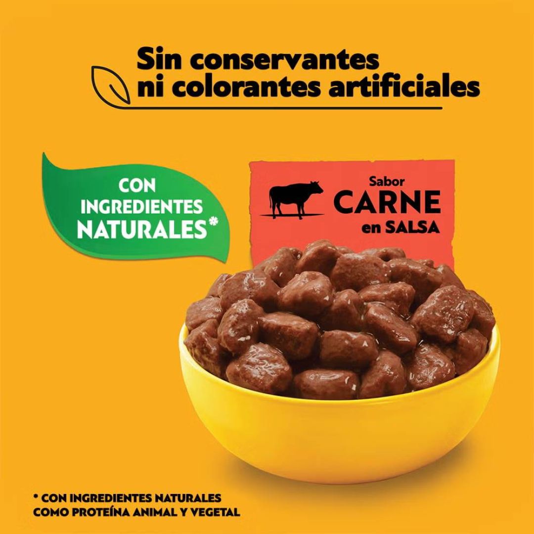 pedigree-pouch-ad-rp-carne