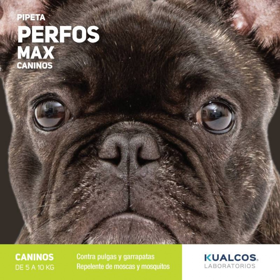 pipeta-perfos-max-h-10-kg