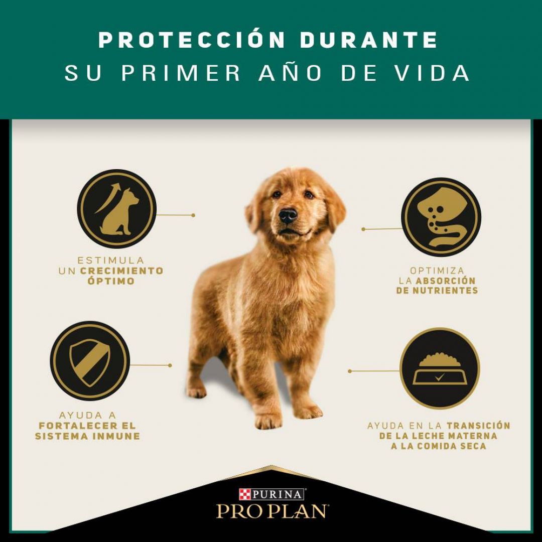pro-plan-puppy-mb-3-kg