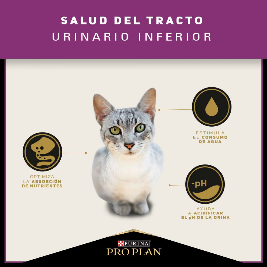pro-plan-gato-urinary-1-kg